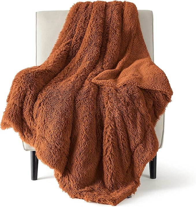 Bedsure GentleSoft Fluffy Burnt Orange Throw Blanket Fall Decorations for Home, Terracotta Blanket Fall Decor for Living Room, Soft Sherpa Fleece Fuzzy Faux Fur Plush Orange Gifts for Women, 50x60-Ruum Studio Home