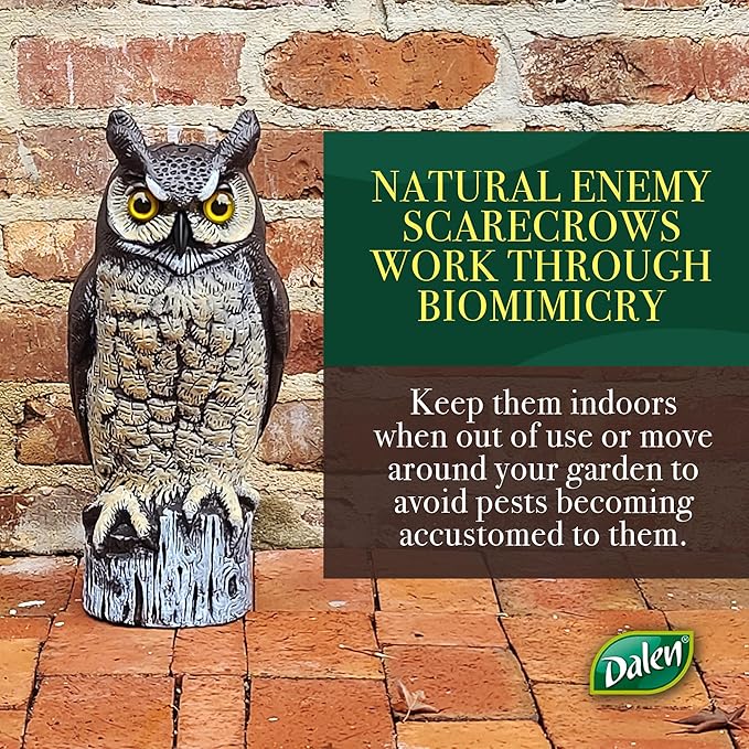 Dalen Large Fake Owl Decoy to Scare Birds Away - Garden Scarecrow Provides Natural Pest Control - 16" Tall - Great Horned Owl-Ruum Studio Home