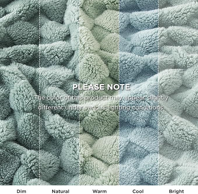Bedsure GentleSoft Blankets Queen Size for Bed - Super Soft Cozy Blanket for Women Men Girls, Large Fuzzy Fleece Throw for Bedroom Decor, Sage Green, 90x90 Inches-Ruum Studio Home