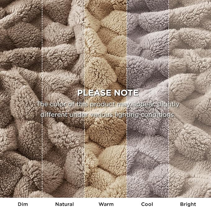 Bedsure GentleSoft Blankets Queen Size for Bed - Super Soft Cozy Blanket for Women Men Girls, Large Fuzzy Fleece Throw for Bedroom Decor, Light Taupe, 90x90 Inches-Ruum Studio Home
