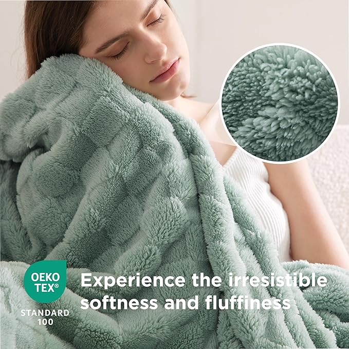 Bedsure GentleSoft Blankets Queen Size for Bed - Super Soft Cozy Blanket for Women Men Girls, Large Fuzzy Fleece Throw for Bedroom Decor, Sage Green, 90x90 Inches-Ruum Studio Home