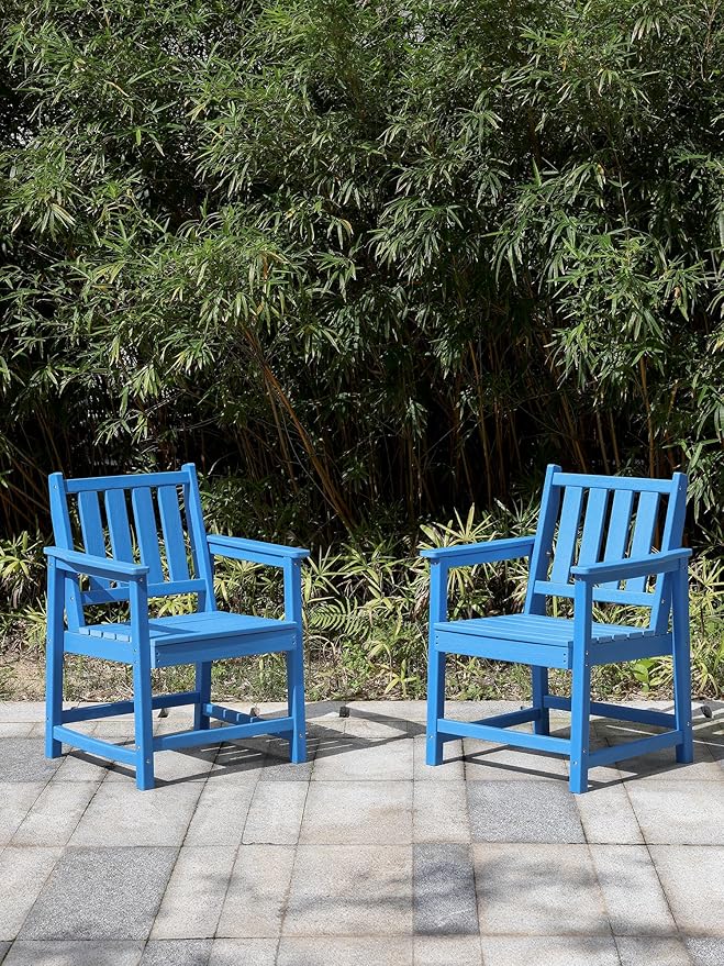 Patio Dining Chair Set of 2, HDPE Outdoor Dining Chair, Ergonomic HDPE Dining Chairs with Deep Seating, All Weather Outdoor Chairs Furniture for Backyard, Deck, Garden, Poolside, Sky Blue-Ruum Studio Home