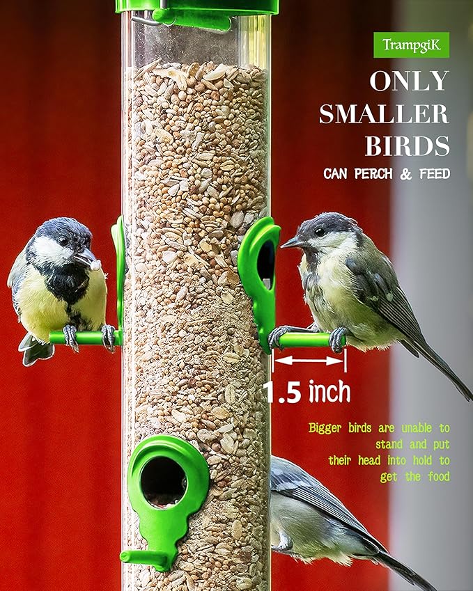 Bird Feeder Premium Hard Plastic for Wild Bird Feeders for Outdoors, Tube Bird Feeders for Outdoors Hanging,14 Inch 6 Port Lawn,Pack of 1-Ruum Studio Home