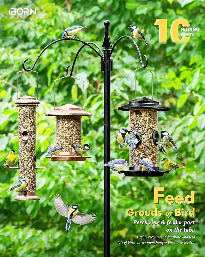 iBorn Metal Bird Feeder for Outside Hanging,Wild Bird Feeders for Cardinal,18cm Large Roof&Tray Black 10 Port(Seed is not Included)-Ruum Studio Home