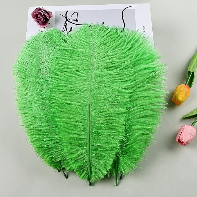 THARAHT Green Ostrich Feathers 12pcs Natural Bulk 8-10Inch 20cm-25cm for Crafts Wedding Party Centerpieces Mardi Gras and Home Decoration Feathers-Ruum Studio Home