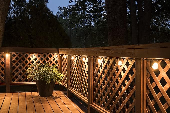 Enbrighten LED Bistro Outdoor String Lights, 24ft, 12 Shatter Resistant Lifetime Bulbs, 2200K Warm White, Weather Resistant, Indoor/Outdoor, Commercial Grade, Perfect for Backyard, Porch, Patio, 38356-Ruum Studio Home