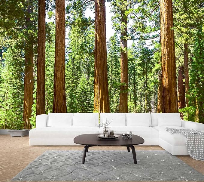 WFBHUA-Redwood Forest Wallpaper Green Woodland Tree Wallpaper for Bedroom Large Art Wall Murals for Living Room Office (Not Peel and Stick)-Ruum Studio Home
