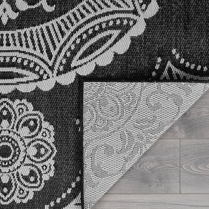 Medallion Outdoor Rug 5x7 Washable Outside Carpet for Indoor Patio Porch Waterproof Easy Cleaning Non Shedding Area Rugs Black 5 x 7-Ruum Studio Home