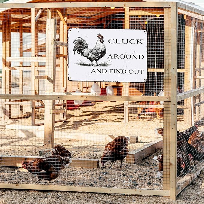 Funny Chicken Coop Sign "Cluck Around & Find Out" Vintage Metal Tin Sign 8x12 Inch - for Farmhouse Kitchen Decor,Chicken Coop Accessories,Barn,Rustic Home & Garden Wall Art with Hanging Holes-Ruum Studio Home