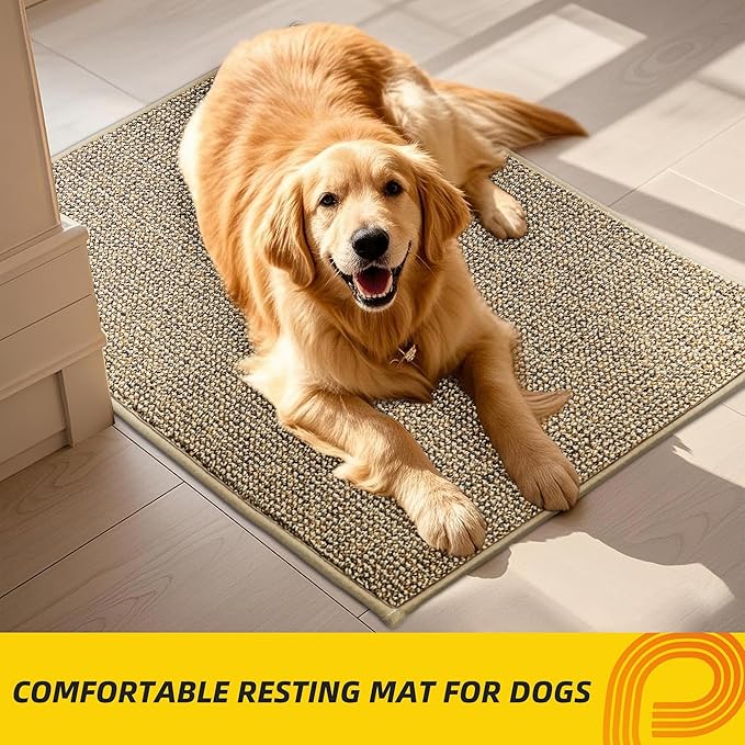 JSEI Dirt Trapper Door Mat 24"x36" Non-Slip Washable Entrance Mat, Dog Doormats, Absorbent & Fade-Resistant Floor Mats, Low Profile Welcome Mats for Entryway, Front Door, and Inside Entrance, Beige-Ruum Studio Home