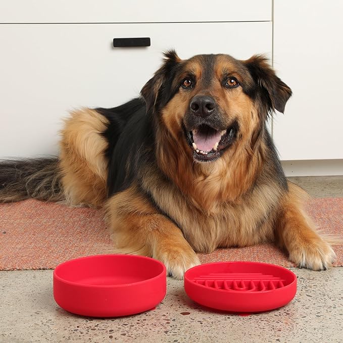 The Slowdown Bowl Silicone Slow Feeder for Dogs & Puppies, Slow Eating, Modern Lick Mat Design, Reduces Gulping, Fits 2 Cups 7.5” Across x 1.5” Tall, Mealtime Challenge, Medium-Cherry-Ruum Studio Home