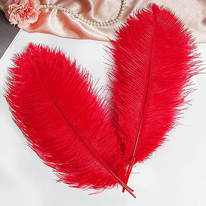 THARAHT Red Ostrich Feathers 12pcs Large Natural Bulk 12-14Inch 30cm-35cm for Wedding Party Centerpieces Halloween and Home Decoration Feathers-Ruum Studio Home