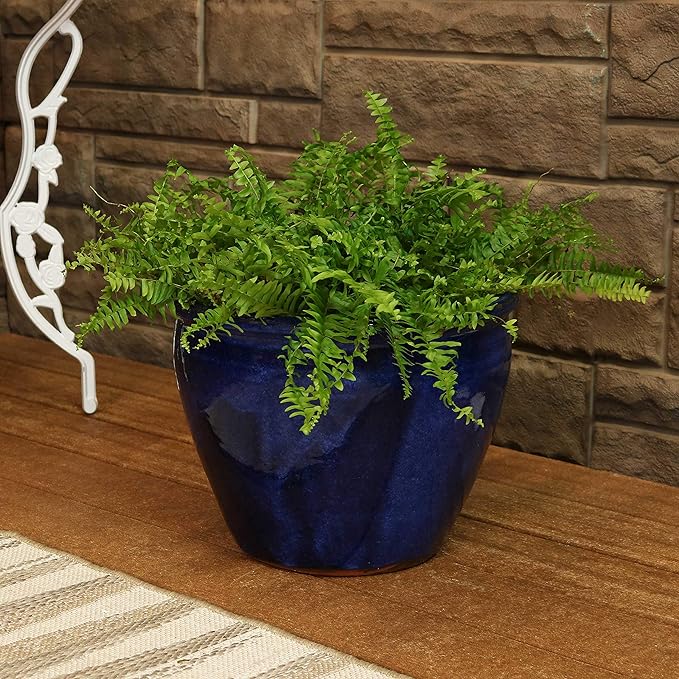 Sunnydaze Chalet Large Ceramic Plant Pot - Round Outdoor Glazed Ceramic Planter Pot with Drainage - Imperial Blue - 14.5"-Ruum Studio Home
