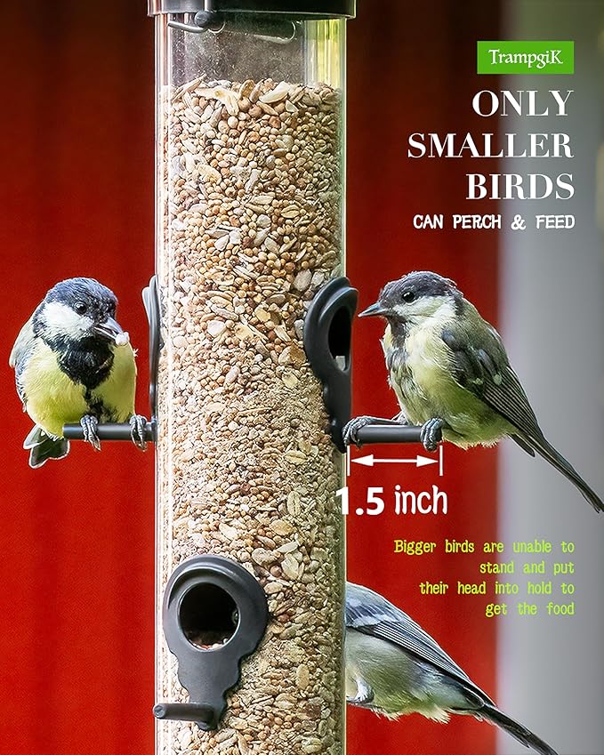 Bird Feeder Premium Hard Plastic for Wild Bird Feeders for Outdoors, Tube Bird Feeders for Outdoors Hanging,14 Inch 6 Port Black, Pack of 1-Ruum Studio Home