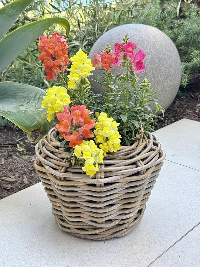 Rattan Kobo Indoor Outdoor Planter Basket with Plastic Pot X Small 1 Gallon Soil Capacity-Ruum Studio Home
