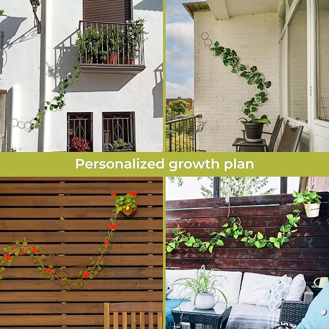Chain Trellis for Climbing Plants - Indoor & Outdoor House Plant Accessories for Monstera, Pothos, Ivy, and More | Garden Wall Trellis and Plant Vine Support - Houseplant Accessories and Plant Gifts-Ruum Studio Home