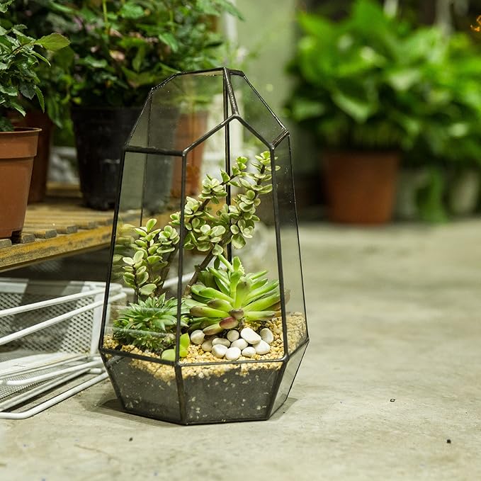 NCYP Geometric Glass Terrarium Planter for Succulent, Small Cacti, Black Irregular Opened Container Pot, Indoor Home Garden Office Tabletop Decor, 6.5" x 5.7" x 9.8" (No Plants, No Door)-Ruum Studio Home