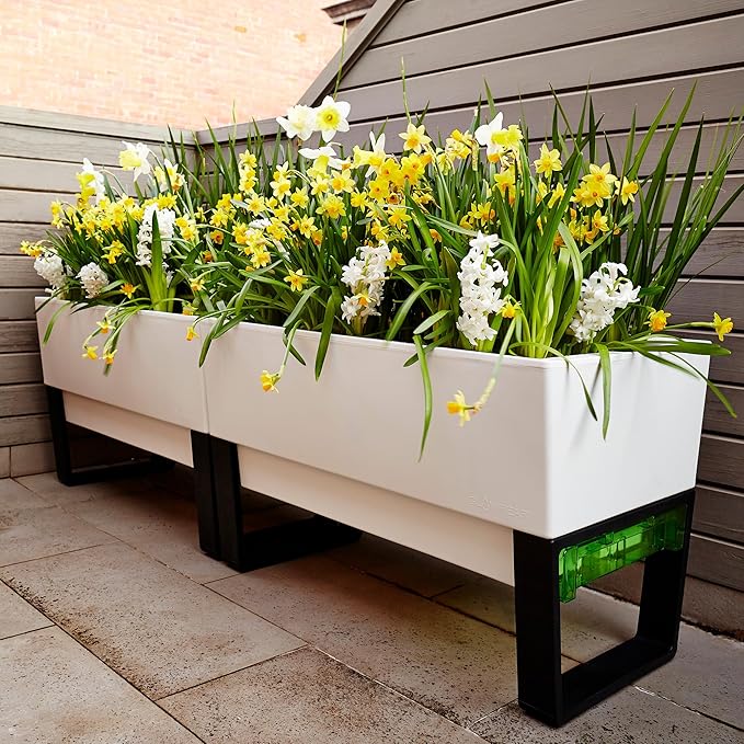 Glowpear Self Watering Planter Box - 29.5", White - UV Stable, Scalable Urban Raised Garden Bed with Water Gauge, Indoor Outdoor for Vegetables, Flowers, Herbs, and Succulents, Gardening-Ruum Studio Home