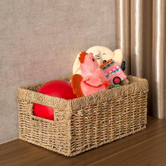 CENBOSS Wicker Baskets (Medium, Seagrass, 1PC) Rattan Storage Baskets for Shelves, Woven Seagrass Holder-Ruum Studio Home