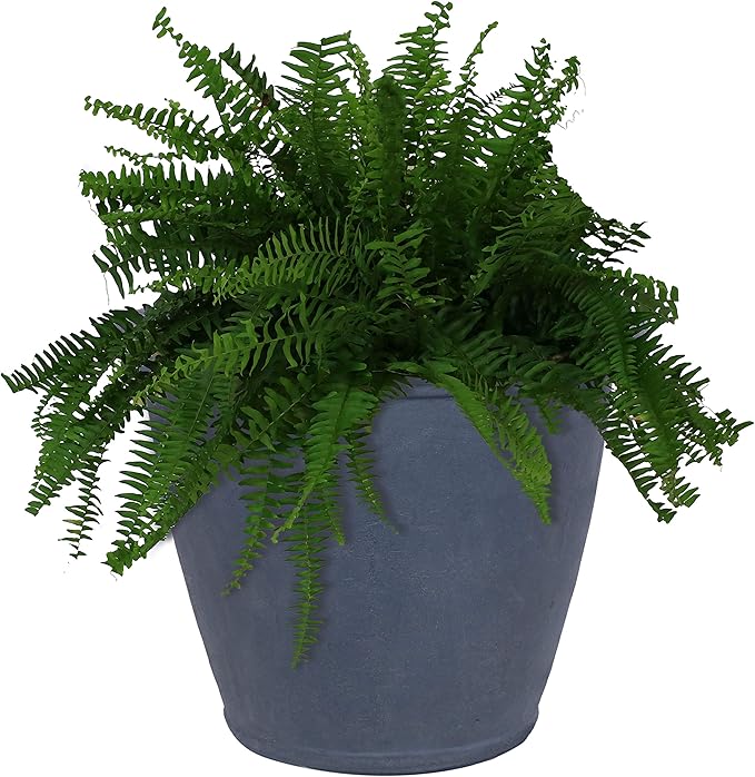 Sunnydaze 24-Inch Anjelica Large Plastic Pot for Plants - Outdoor Polyresin Round Planter with Drillable Drainage Holes - Slate-Ruum Studio Home
