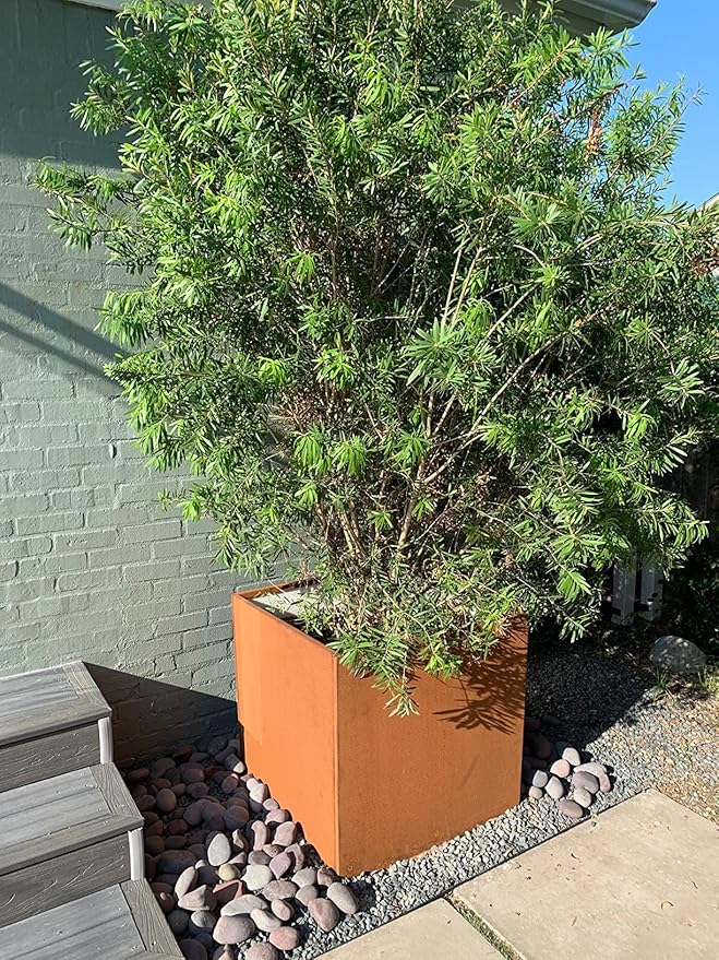 Corten Steel Planter Box Metal Square Planters Steel Large Planter Outdoor Tall Plant Durable Antique Detached for Commercial Residential Patio Deck and Backyard 26 Inch-Ruum Studio Home