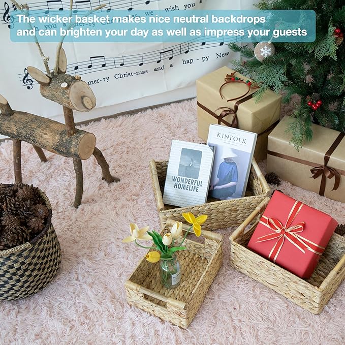 VATIMA Hyacinth Wicker Basket Set 3 size - Rectangular, Wooden Handles, Shelf Organizer, Natural Bins-Ruum Studio Home