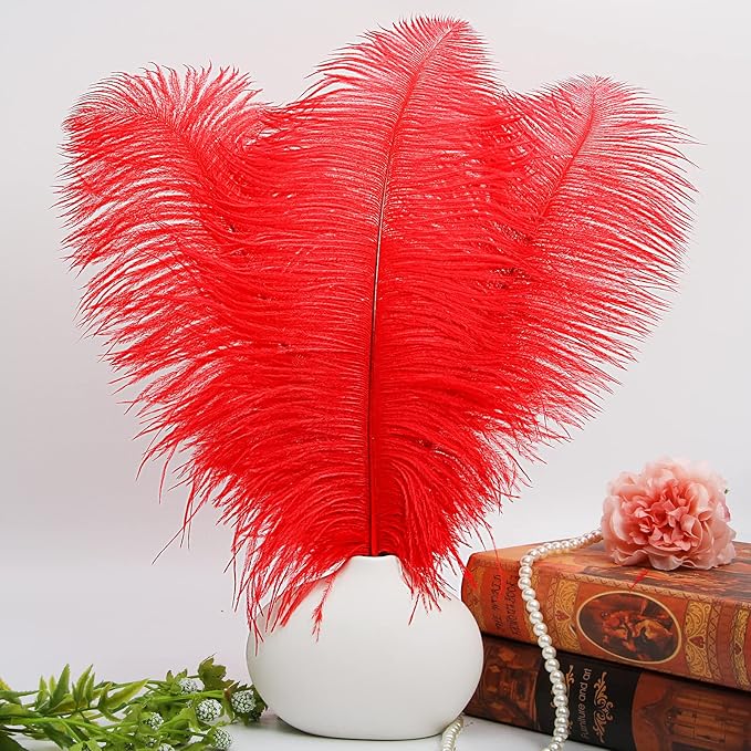 THARAHT Red Ostrich Feathers 12pcs Large Natural Bulk 12-14Inch 30cm-35cm for Wedding Party Centerpieces Halloween and Home Decoration Feathers-Ruum Studio Home