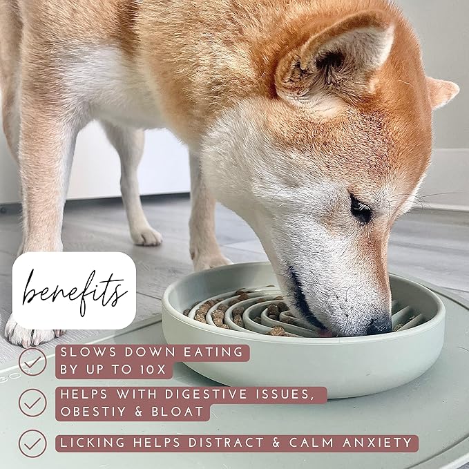 The Slowdown Bowl Silicone Slow Feeder for Dogs & Puppies, Slow Eating, Modern Lick Mat Design, Reduces Gulping, Fits 2 Cups 7.5” Across x 1.5” Tall, Mealtime Challenge, Medium-Ocean-Ruum Studio Home