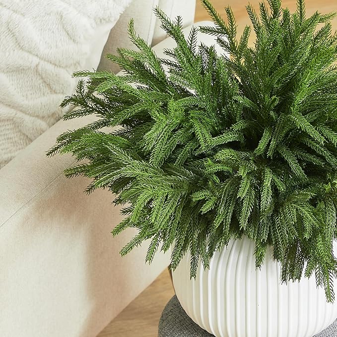 WeGuard 32 Pcs Real Touch Artificial Norfolk Pine Branches, 18 Inches Faux Cedar Pine Stem Fake Christmas Greenery Picks for Vase DIY Garland Wreath Christmas Decor Home Decor-Ruum Studio Home