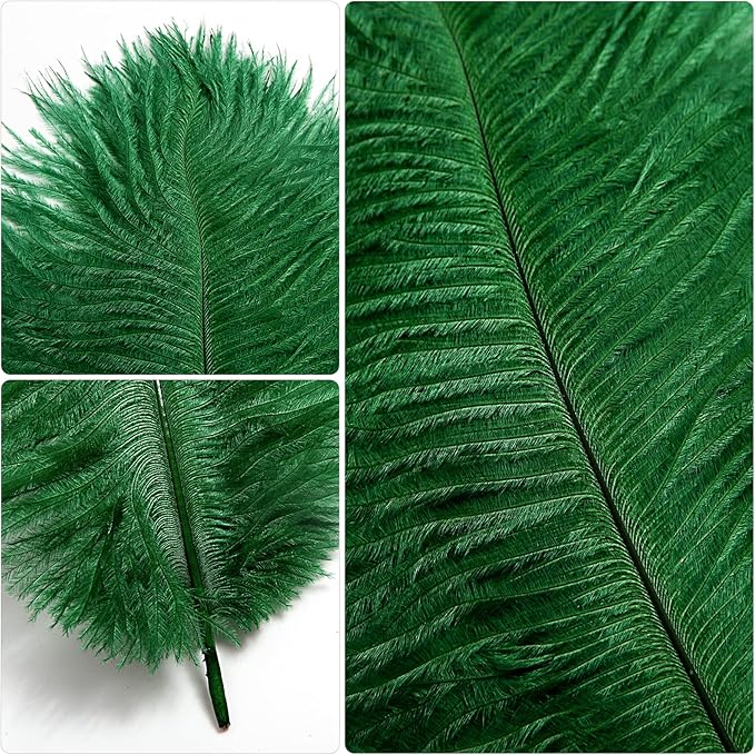 THARAHT Blackish Green Ostrich Feathers 12pcs Natural Bulk 10-12Inch 25cm-30cm for Crafts Wedding Party Centerpieces Mardi Gras Decoration Feather-Ruum Studio Home