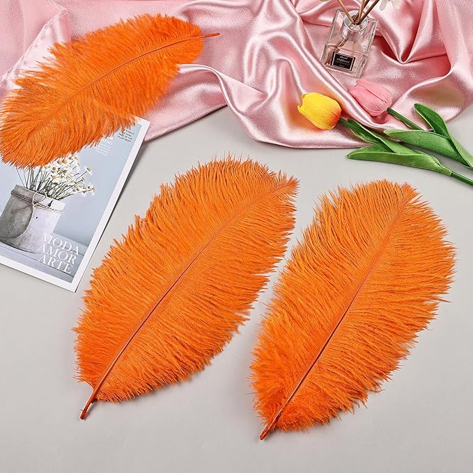 THARAHT Orange Ostrich Feathers 12pcs Natural Bulk 10-12Inch 25cm-30cm for Crafts Wedding Party Centerpieces Halloween and Home Decoration Feathers-Ruum Studio Home
