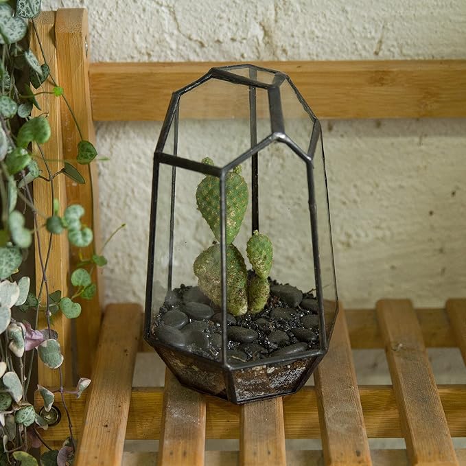 NCYP Small Geometric Terrarium - 4.1" x 3.5" x 5.9" Miniature Irregular Glass Terrarium Planter for Succulent Air Plants - Tabletop Garden Display Container, Black (No Plants, No Door)-Ruum Studio Home
