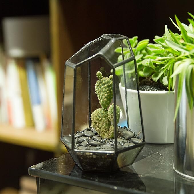 NCYP Small Geometric Terrarium - 4.1" x 3.5" x 5.9" Miniature Irregular Glass Terrarium Planter for Succulent Air Plants - Tabletop Garden Display Container, Black (No Plants, No Door)-Ruum Studio Home