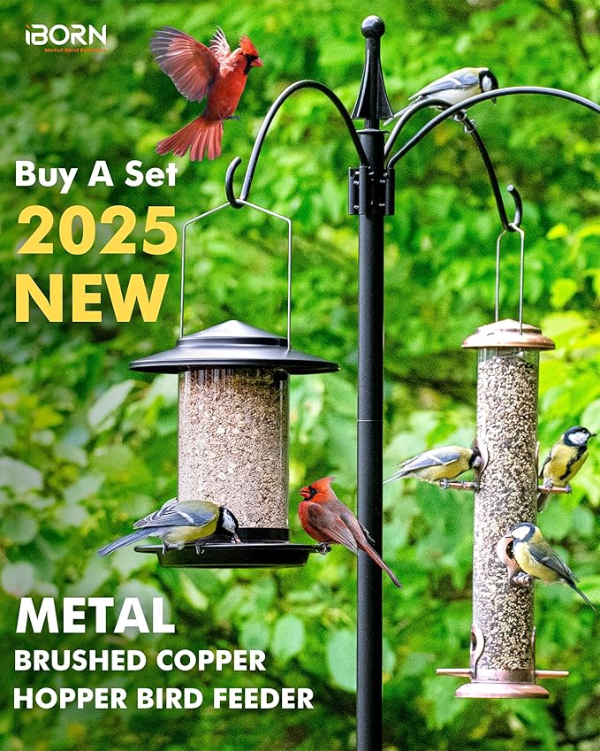 iBorn Metal Bird Feeders for Outdoors Hanging,Wild Bird Feeders for Cardinal,18cm Large Roof&Tray Black 6 Port (Seed is not Included)-Ruum Studio Home