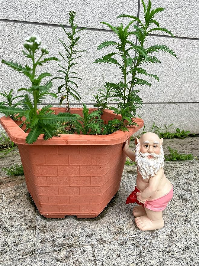 Funny Gnome Statue | Garden Gnomes | Funny Gnomes Garden Decorations for Outside Garden - Garden Gnomes 8" Tall-Ruum Studio Home